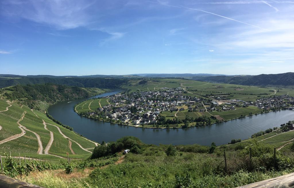 Moselromantik-Hotel Zum Loewen Ediger-Eller Bagian luar foto